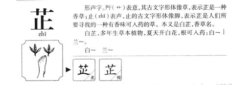 芷的意思名字|芷字取名的含义是什么